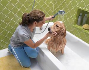 Купание щенка в ванной