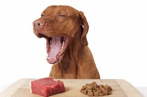 Какое мясо можно для собаки