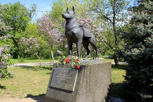 Волгоград: памятник собаке
