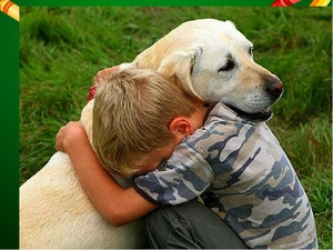 Проявления любви собаки к хозяину