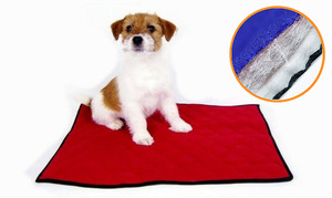 Многоразовые пеленки для собак: плюсы и минусы