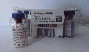 Вакцина для собак Нобивак DHPPi
