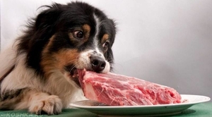 Кусковое мясо для собак