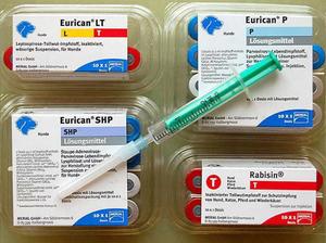 Как использовать препарат эурикан