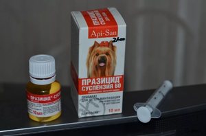 Препарат для профилактики глистов у собак