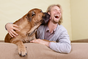 Причины любви собаки к  человеку
