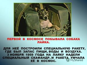 Первая собака в космосе