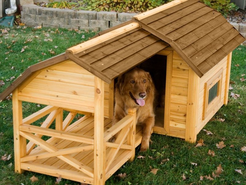 Как сделать мягкий дом для собак