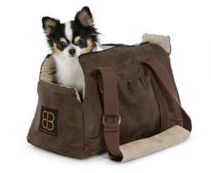 Зачем нужна сумка-переноска собаке
