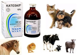 Препарат для животных Катозал